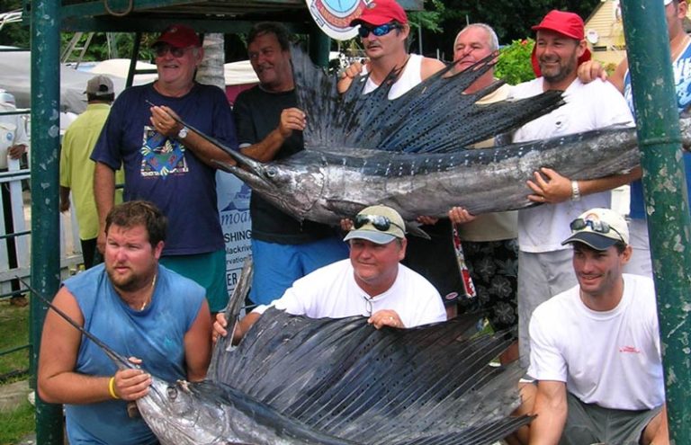 Sailfish